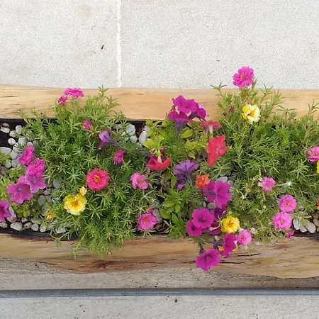 Dolce Valentina 3* Alberobello